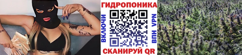 продажа наркотиков  ссылка на мегу онион  Шишки марихуана ГИДРОПОН  Калтан 